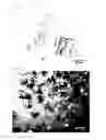 Fig. 02 - CRYSTALLINE 3',5'-CYCLIC DIGUANYLIC ACID