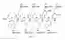 Fig. 06 - Gamma-AA-peptide STAT3/DNA inhibitors and methods of use