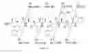Fig. 08 - Gamma-AA-peptide STAT3/DNA inhibitors and methods of use