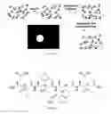 Fig. 12 - Gamma-AA-peptide STAT3/DNA inhibitors and methods of use