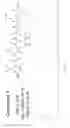 Fig. 15 - Gamma-AA-peptide STAT3/DNA inhibitors and methods of use