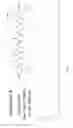 Fig. 16 - Gamma-AA-peptide STAT3/DNA inhibitors and methods of use