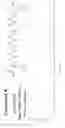 Fig. 18 - Gamma-AA-peptide STAT3/DNA inhibitors and methods of use