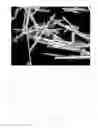 Fig. 02 - Crystalline powder of cyclic peptide compound, preparation method for same, and uses thereof
