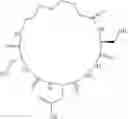 Fig. 64 - Cyclic peptidomimetic compounds as immunomodulators