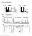 Fig. 16 - Cleavage and exchange of major histocompatibility complex ligands employing azobenzene-containing peptides