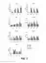 Fig. 08 - TRANSGENIC ANIMALS CAPABLE OF PRODUCING HUMANIZED IGE AT MUCH HIGHER LEVELS THAN MOUSE IGE