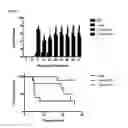 Fig. 02 - BLOCKADE OF TIM-1 FOR TREATING GRAFT-VERSUS-HOST DISEASE