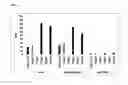 Fig. 08 - Synthetic antibody mimic peptides