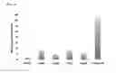 Fig. 15 - Synthetic antibody mimic peptides
