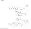 Fig. 17 - Synthetic antibody mimic peptides