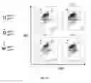 Fig. 54 - Animal Models and Therapeutic Molecules