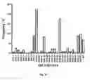 Fig. 37 - Animal models and therapeutic molecules