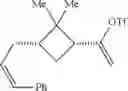 Fig. 20 - Apopinene as a biorenewable monomer for ring-opening metathesis polymerization