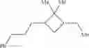 Fig. 21 - Apopinene as a biorenewable monomer for ring-opening metathesis polymerization