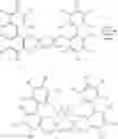 Fig. 29 - Polymerizations for olefin-based polymers