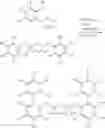 Fig. 33 - Ethylene-based polymers
