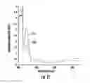 Fig. 11 - Flow reactor synthesis of polymers