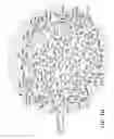 Fig. 03 - Curable polymers comprising silsesquioxane polymer core and silsesquioxane polymer outer layer and methods