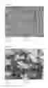 Fig. 02 - Nanoparticle-containing solution and use thereof