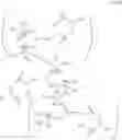 Fig. 16 - COUPLED QUATERNARY AMMONIUM SALTS