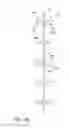 Fig. 27 - Fluid pumping and bioreactor system