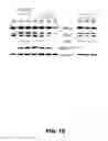 Fig. 06 - METHODS OF ENHANCING T-CELL LONGEVITY AND USES THEREOF