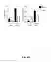 Fig. 09 - METHODS OF ENHANCING T-CELL LONGEVITY AND USES THEREOF