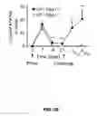 Fig. 11 - METHODS OF ENHANCING T-CELL LONGEVITY AND USES THEREOF