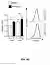Fig. 15 - METHODS OF ENHANCING T-CELL LONGEVITY AND USES THEREOF