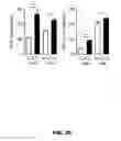 Fig. 16 - METHODS OF ENHANCING T-CELL LONGEVITY AND USES THEREOF