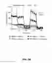 Fig. 28 - METHODS OF ENHANCING T-CELL LONGEVITY AND USES THEREOF