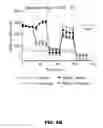 Fig. 29 - METHODS OF ENHANCING T-CELL LONGEVITY AND USES THEREOF