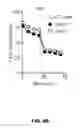 Fig. 31 - METHODS OF ENHANCING T-CELL LONGEVITY AND USES THEREOF