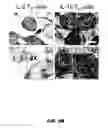 Fig. 34 - METHODS OF ENHANCING T-CELL LONGEVITY AND USES THEREOF