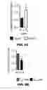 Fig. 35 - METHODS OF ENHANCING T-CELL LONGEVITY AND USES THEREOF