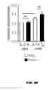 Fig. 44 - METHODS OF ENHANCING T-CELL LONGEVITY AND USES THEREOF