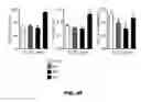 Fig. 48 - METHODS OF ENHANCING T-CELL LONGEVITY AND USES THEREOF