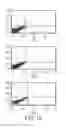 Fig. 13 - MODULATED IMMUNODOMINANCE THERAPY