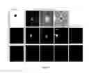 Fig. 15 - Methods for reprogramming cells and uses thereof