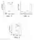 Fig. 09 - Cell culture system