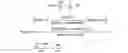 Fig. 02 - METHOD OF MAINTAINING DISEASE STABILITY IN A SUBJECT HAVING GAUCHER'S DISEASE