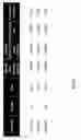 Fig. 17 - METHOD OF MAINTAINING DISEASE STABILITY IN A SUBJECT HAVING GAUCHER'S DISEASE