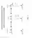 Fig. 03 - Acetyl-CoA carboxylases