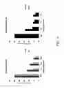 Fig. 05 - Acetyl-CoA carboxylases