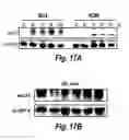 Fig. 14 - Modulation of human cytomegalovirus replication by micro-RNA 132 (miR132), micro-RNA 145 (miR145) and micro-RNA 212 (miR212)