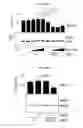Fig. 24 - Modulation of gene expression and screening for deregulated protein expression
