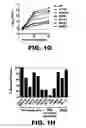 Fig. 04 - METHODS OF INHIBITING VIRAL REPLICATION COMPRISING THE SIGNAL PEPTIDASE COMPLEX
