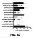 Fig. 06 - METHODS OF INHIBITING VIRAL REPLICATION COMPRISING THE SIGNAL PEPTIDASE COMPLEX