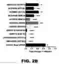 Fig. 07 - METHODS OF INHIBITING VIRAL REPLICATION COMPRISING THE SIGNAL PEPTIDASE COMPLEX